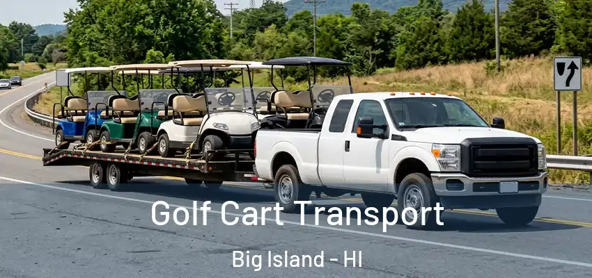 Golf Cart Transport Big Island - HI