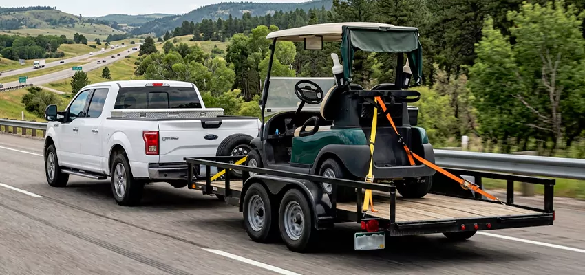 Factors That Affect Your Golf Cart Move Cost in Big Island, HI